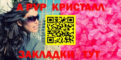 шишки Изобильный
