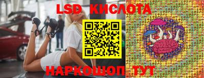 шишки Изобильный