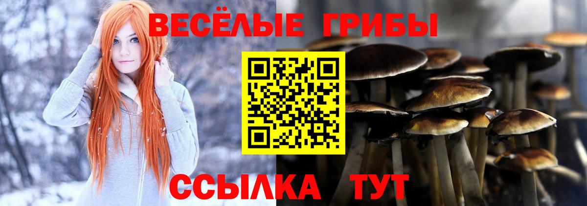 Псилоцибиновые грибы прущие грибы  Вход с VPN  Ирбит 